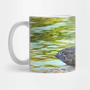 Female Mallard Duck Sitting On A Log Mug